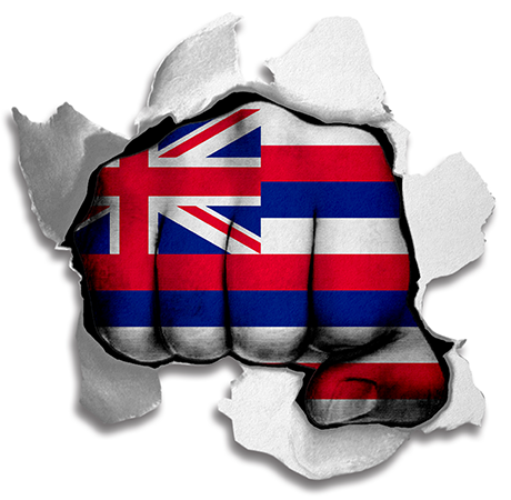 Fist Hawaii State Flag Logo iron on paper